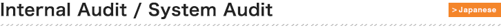 Internal Audit / System Audit