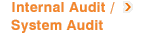 Internal Audit / System Audit
