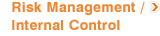 Risk Management / Internal Control