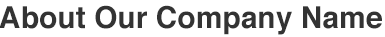 About Our Company Name