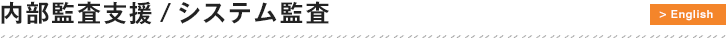 内部監査支援／システム監査