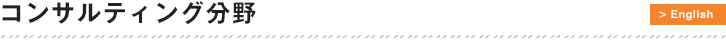 コンサルティング分野