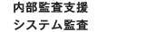 内部監査支援／システム監査