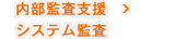 内部監査支援／システム監査